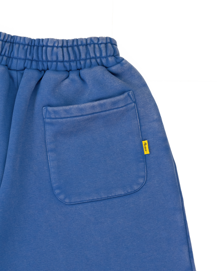 WASHED BLUE DAY2DAY SWEAT SHORTS